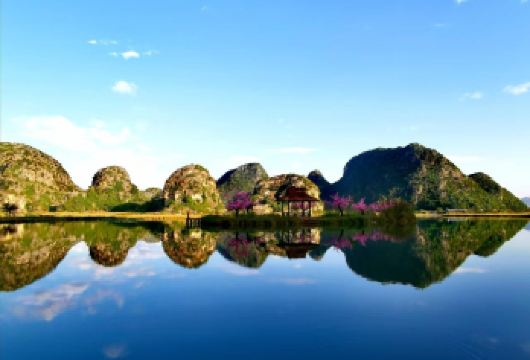 普者黑一日游（三生三世取景地、仙人洞、青龙山）【往返接送，消费透明，正规旅游大巴，旅游保险】