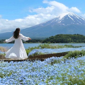 富士山网红双湖+罗森+日川时计店+大石公园一日游|9人小团