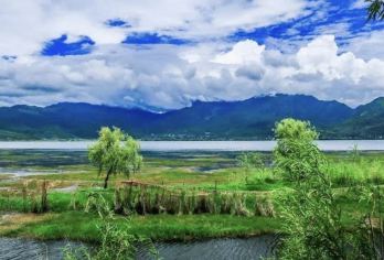 丽江私人导览1日游 拉市海湿地公园&茶马古道｜可接待外宾T【拉市海湿地公园漫步，湖光山色尽收眼底。 茶马古道骑马穿越，重温古商道风情】