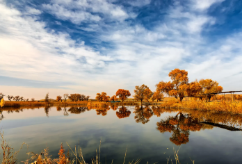 南疆金秋限定！库尔勒出发·罗布人村寨/塔里木胡杨林/博斯腾湖【8小时VIP服务，丰富的文化体验，仙境般的自然景观。】