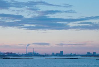 广西钦州大芦村+坭兴陶博物馆+苏廷有旧居包车一日游可英文服务【可提供英文及小语种导游服务-往返接送-可选导游-可代订门票】