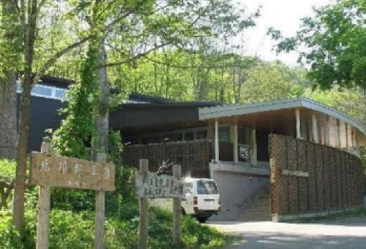 日本北海道+旭川动物园+白须瀑布一日游/行程可调-可定制多日【包车一日游，解锁旅行新方式！独立车辆配备经验丰富的老司机，为您量身打造专属行程。】