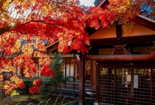 大阪胜尾寺+爱宕念佛寺+岚山徒步一日游【中文导游】【胜尾寺-祈求胜利和好运的灵验圣地】