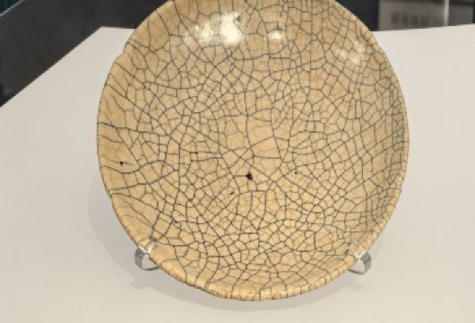 上海博物馆东馆 博研社专业老师精讲2.5小时【导游：全程景点讲解服务】