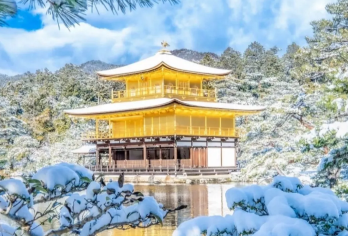 日本|二年坂+平等院+清水寺+金阁寺|包车往返|行程可调【中文包车，沟通无碍，深度体验，行程可调 可定制】