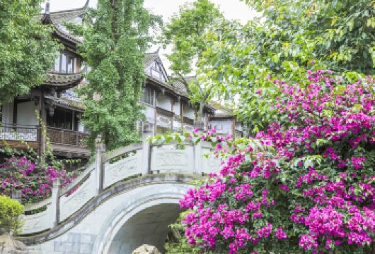 四川成都平乐古镇+川西竹海景区一日游【省时省心+行程灵活+VIP包车一站式服务+中文司导】