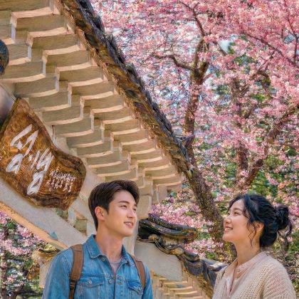 韩国南怡岛+小法国村意大利村一日游【首尔出发 • 中英导游】