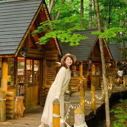 北海道精灵露台+旭山动物园+白须瀑布+白金青池一日游