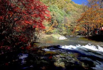 本溪关门山国家森林公园一日游【沈阳市区上门接送】【[出行无忧]全程车接车送，出行不担忧，路途不费心回归旅游初心，收获一天喜悦，省心省力告别拥挤畅玩到底】