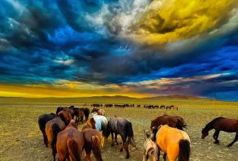 乌兰察布乌兰哈达火山+辉腾锡勒草原一日游2-8人精品小团【本地一手专业地接社真诚为您服务】