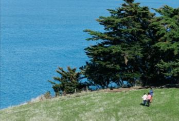 【中文小团】新西兰南岛皇后镇 瓦纳卡+箭镇+克伦威尔一日游【10人拼车中文小团，提供皇后镇市区接送】