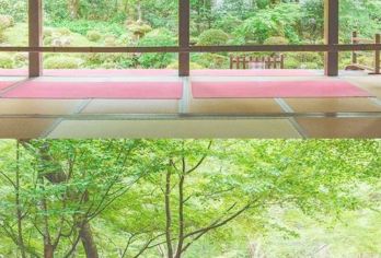 日本京都-琉璃光院-三千院-贵船神社-红叶满天 京都巡礼。【专业行程定制，精选热门景点，高效游玩不走回头路，贴心服务保障，轻松】