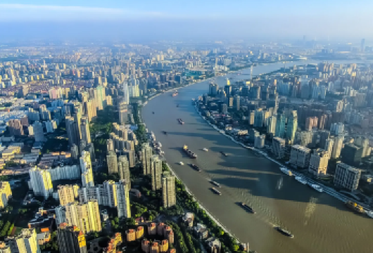 上海亲子包车一日游：上海野生动物园+上海博物馆+上海之巅观光【上海包车一日游，行程灵活，可做私人路线定制】