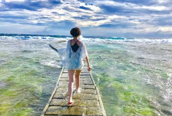 台湾花莲包车到垦丁.垦丁到花莲[单程价格.双向可包]【可以附加 英.日.韩.泰.越南.菲律宾.印尼.马来.等多种语言.订购栏目中订购英文.备注栏中告知即可】