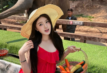 野象谷+曼掌村一日游【15人团·专业导游讲解+可选三项体验】【[自营发车]正规旅游大巴车出行，拒绝低价黑车，旅行安全无忧~】