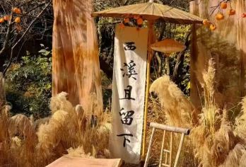 杭州西溪湿地景区（含门票+电瓶船票）+2小时资深讲解半日游【[5A级湿地公园]带你穿过一帧又一帧美丽的野趣画卷，这是游江南山水的气质玩法】