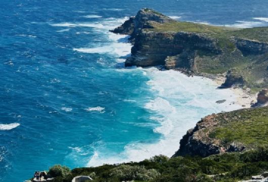 【南非开普敦包车一日游】好望角+企鹅滩+大康斯坦提亚葡萄酒庄【美景美酒，浪漫南非】