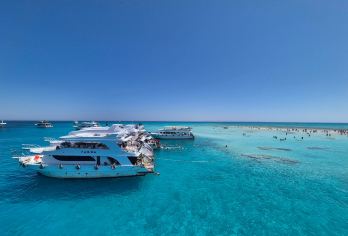 沙姆沙伊赫出海+白岛一日游丨酒店接送丨含午餐丨可选浮潜/深潜【[双潜盛宴 深海奇遇] 全程护航，带你解锁红海双重水下体验：浮潜漫游澄澈碧波。】