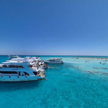 沙姆沙伊赫出海+白岛一日游丨酒店接送丨含午餐丨可选浮潜/深潜