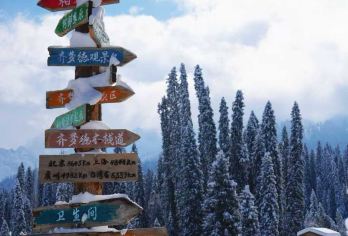 库尔德宁一日游【逃离城市，沉浸式旅行】