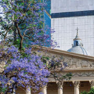 阿根廷布宜诺斯艾利斯包车一日游【中文向导全程陪同+景点任选】