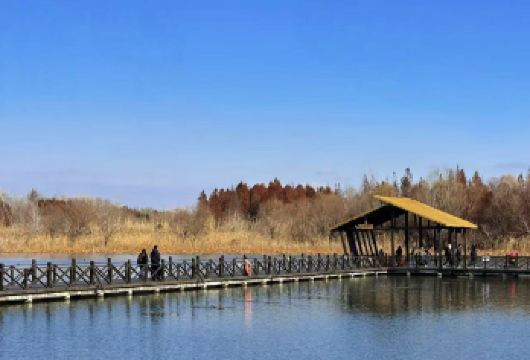溱湖湿地之美，溱潼古镇之韵【“溱湖湿地，水乡明珠，生态画卷；溱潼古镇，千年遗韵，人文诗篇。】
