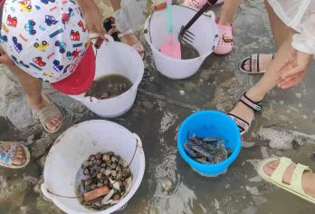 北海银滩+老街+欢趣赶海挖螺抓螃蟹一日游【纯玩小团 不早起】【[童趣赶海]体验赶海，做回渔民，抓螃蟹捕小鱼，抓到的都是你的】