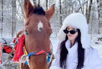 中国雪乡精品纯玩一日游（包含秃顶山雪地摩托+冰雪画廊）+接送【纯玩无自费无购物年轻无极限】