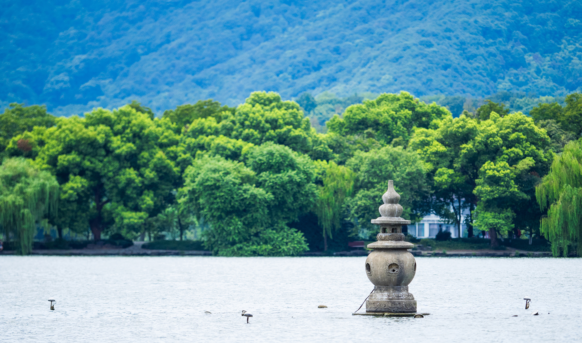 10人精致团丨杭州雷峰塔+西湖环湖游船ღ可选灵隐寺・茶园采茶