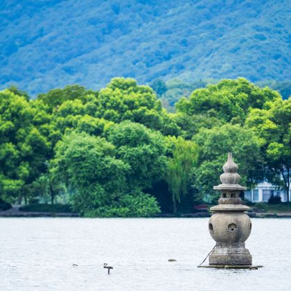 10人精致团丨杭州雷峰塔+西湖环湖游船ღ可选灵隐寺・茶园采茶