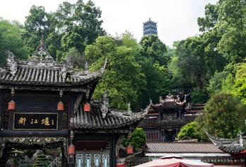 成都熊猫谷+都江堰+蓝眼泪（2-8人拼小团|2人起成团）【晚出发 | 赏夜景 | 含景区门票 | 熊猫基地领队陪同 | 都江堰讲解服务】