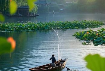 杭州西湖雷峰塔+苏堤/岳王庙+曲院风荷2H精讲含票【[深度解读]在曲院风荷廊榭解锁南宋酒坊赏荷或是在雷峰塔地宫剖析吴越国的佛教密码】
