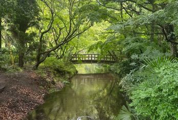 日本福冈往返由布院景点/可熊本别府大分九州多日绿牌包车-精选【精选热门景点，高效游玩不走回头路，深度了解文化内涵，贴心服务保障，轻松享受旅程，性价比超高的旅行。】