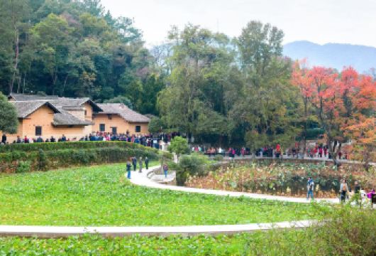 韶山一日活动+人工全程讲解+精华景点预约+通行证代办+安排停车【家庭游，独立成团】