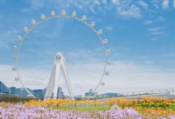 私家小团上门接送|深中通道+欢乐港湾+深圳博物馆一日活动【私家旅行：一单一团，不拼客，专属旅行；品质服务：5座/7座车上门接送，专职司机护航】