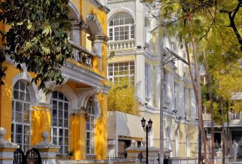 中国广州沙面+陈家祠+南越王+黄埔军校旧址纪念馆包车一日活动/【[经典地标全覆盖]深入探索代表性景点，感受当地风土人情】