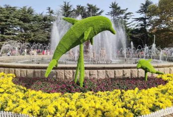 【青岛*一日包车游】八大关+中山公园+啤酒博物馆+台东步行街【专车服务，上门接送，纯玩0购物】