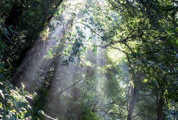 台北 | 阳明+淡水码头+金山老街+跳石海岸 | 包车日游【中文包车，沟通无碍，深度体验，行程可调】