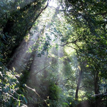 台北 | 阳明+淡水码头+金山老街+跳石海岸 | 包车日游