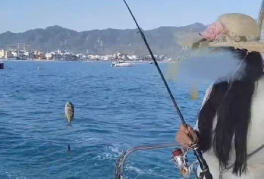 深圳较场尾游艇人工礁定点海钓不限时含鱼竿鱼饵 一价全包【无需经验自带装备，上船即钓新手友好，近海平稳水域安全又好上手】