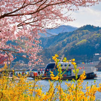 韩国南怡岛+晨静园艺树木园一日游 (首尔出发 • 中英导游)