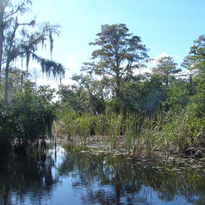 美国迈阿密+大沼泽地国家公园一日游【中文包车上门接】