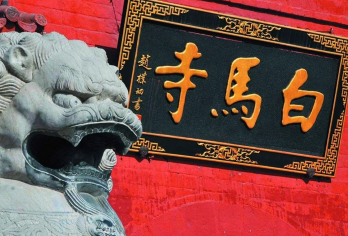 少林寺+白马寺一日游【市区内上门接/含讲解 门票/纯玩团】【[参团便利] 市区中心路段，均可安排接；】