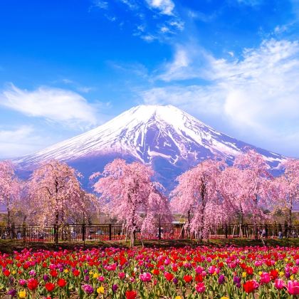 富士山河口湖+山中湖一日游【可选9人团/KaBa精品纯玩】