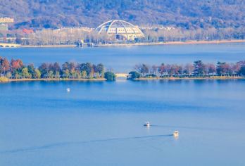 南京日游/导游/中文/英文/俄语行程可调 4小时导游服务xx【全程中文/英文/俄语/多种小语种服务，专业讲解，沟通无障碍，景点可调。】