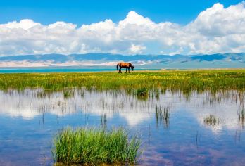 沉浸自然之色：中国西宁日月山+青海湖 +中英文专业导游 EA【全程中文/英文/俄语服务，沟通无障碍，景点可调】