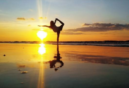 沙巴天空之境红树林萤火虫一日游 拼团/独立包团可选【中文司机，优质服务，市区酒店接送；】