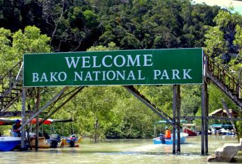 古晋巴哥国家公园一日游（含午餐）【探索砂拉越历史悠久、具标志性的古晋巴哥国家公园，开启沉浸式的全日荒野探险之旅。徒步穿越葱郁的雨林小径，探索隐秘的珍宝，并观赏长鼻猴等珍稀野生动物。在经验丰富的当地导游带领下，深入了解公园丰富的生态、历史和文化价值。】