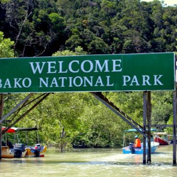 古晋巴哥国家公园一日游（含午餐）