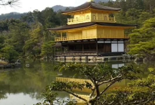 日本大阪往返-琉璃光院-三千院-贵船神社-红叶巡礼红叶季.！【专业行程定制，精选热门景点，高效游玩不走回头路，贴心服务保障，轻松】